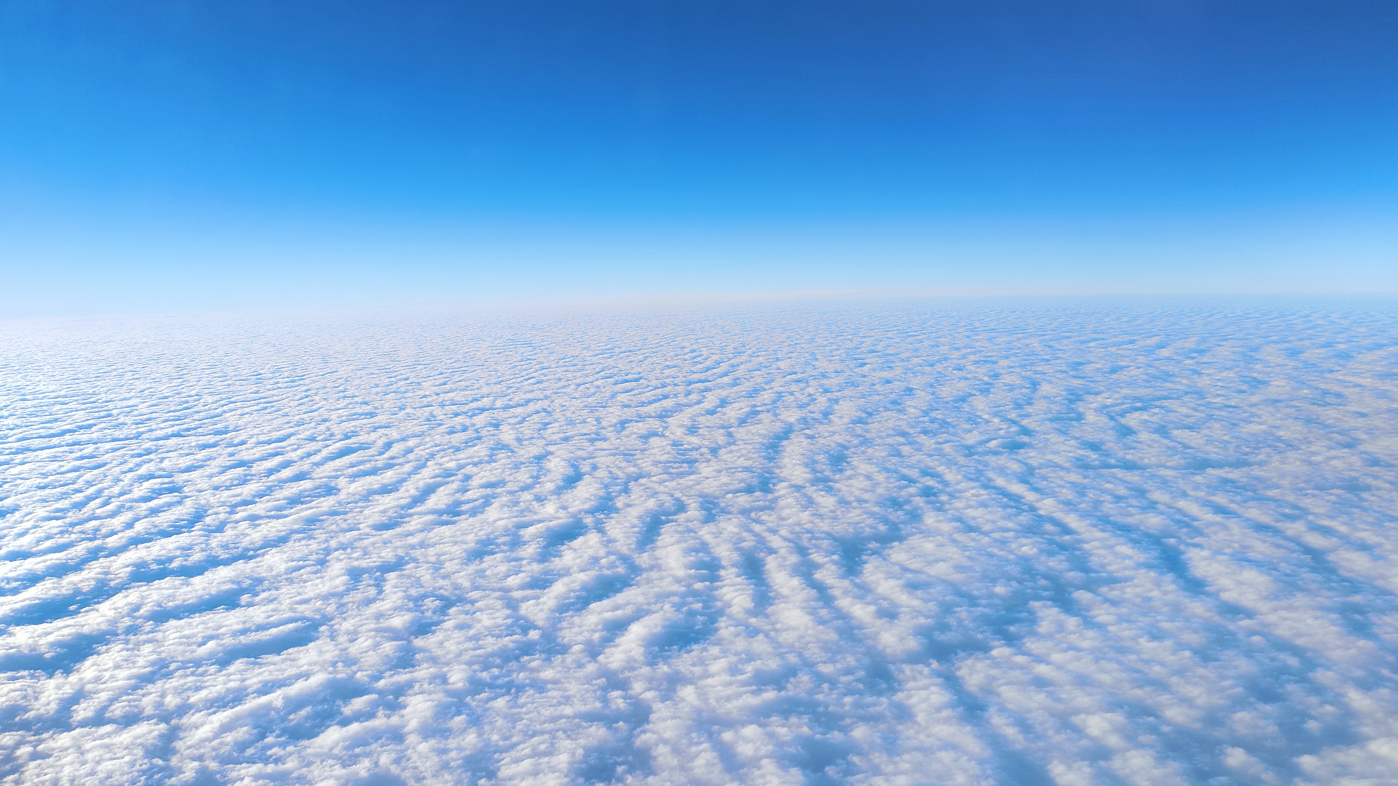 【转载推荐】互联网与中国后现代性呓语